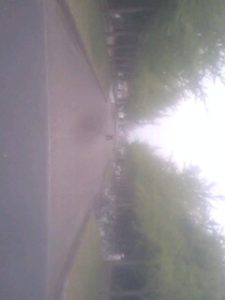 今日もウォーキング