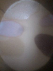 低温度焼成の結果