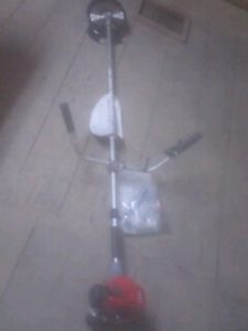 買っちゃいました