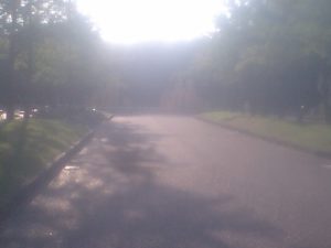 今日こそアップ