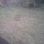 休日とはいえ、、、、、