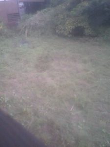 休日とはいえ、、、、、