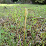 季節感が、、、、