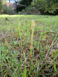 季節感が、、、、