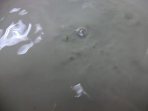 素材にこだわり、、、、、