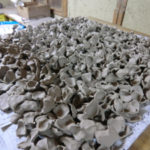 きのうのつづき