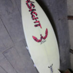 来年は、、、、、プチサーファーに、、、、