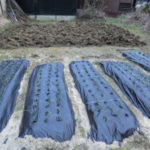 一日作業日、、