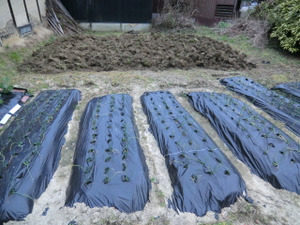 一日作業日、、