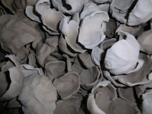 とにかく、、、、、寒い、、、