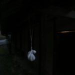 陶土のフリーズドライ