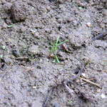 凹みより応援を、、、、、