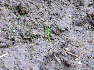 凹みより応援を、、、、、