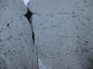 きょうは、、、、、春分の日、、、、、