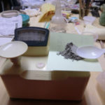 苦手のはずが、、、、