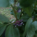 この調子、、、