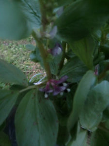 この調子、、、