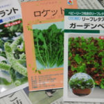 プランターで、、、、