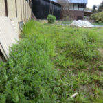 今年も戦いが、、、、、