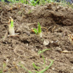 きょうから、、、、