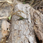 蹴りました、、、、