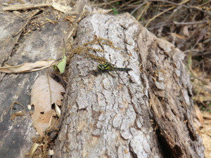 蹴りました、、、、