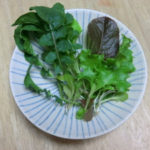 贅沢な食事、、、、