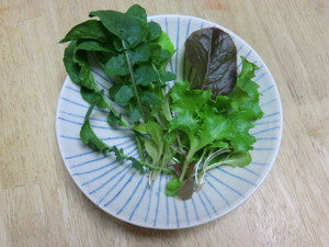 贅沢な食事、、、、