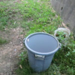 うわさで雨乞い、、、、