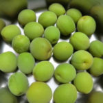 梅雨シーズンに、、、、、