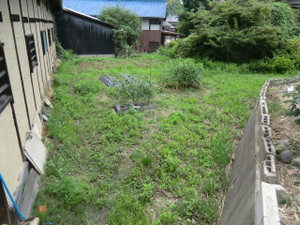 トマトハウス、、、、