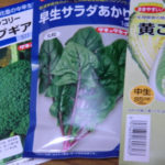 次のやさい、、、