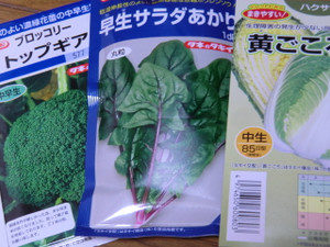 次のやさい、、、