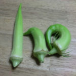 白オクラ、、、、