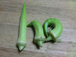 白オクラ、、、、