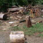 汗をかくことは、、、、、