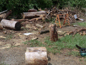 汗をかくことは、、、、、