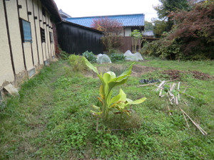 窯焚きと窯焚きの合間に、、、、、