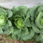 途中経過、、、、