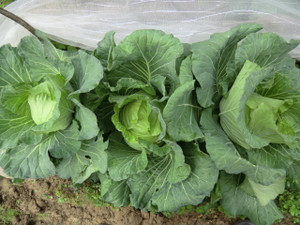 途中経過、、、、