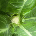 途中経過、、、２、、、