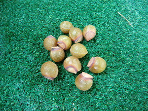 ムクロジ、、、、