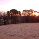 初日の出ではないけれど、、、、、