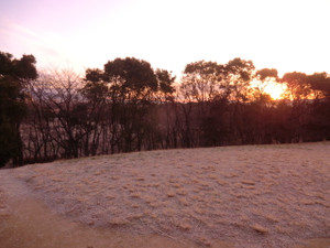 初日の出ではないけれど、、、、、