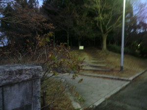 好調です、、、、