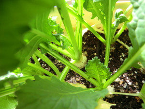 休日の過ごし方、、、、、