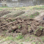 筋肉痛、、、、、