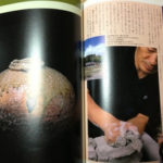 信楽作家、、、、、