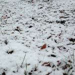 プチ積雪、、、、、