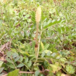 春のサイン、、、、、